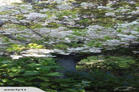 Photo of property in 4 Deans Road, Winton, 9782