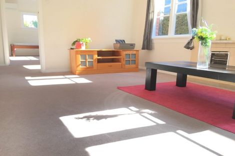 Photo of property in 45 Pacific Street, Roslyn, Dunedin, 9010