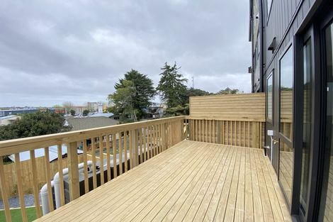 Photo of property in 17c Buscomb Avenue, Henderson, Auckland, 0610