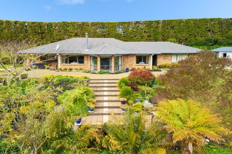 Photo of property in 72 Busby Road, Tahawai, Katikati, 3170