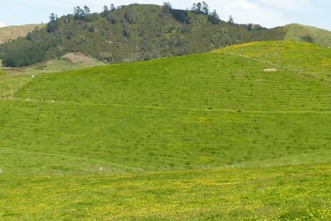 Photo of property in 361 Martin Road, Waerenga, Te Kauwhata, 3781