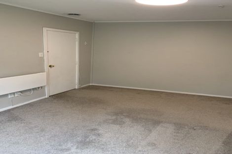 Photo of property in 301 Adelaide Road, Newtown, Wellington, 6021