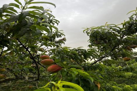 Photo of property in 1314 Wairamarama Onewhero Road, Onewhero, Tuakau, 2697