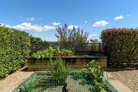 Photo of property in 5 Edgecumbe Road, Tauranga, 3110