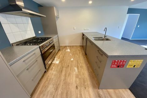 Photo of property in 87 Purchas Street, Edgeware, Christchurch, 8013