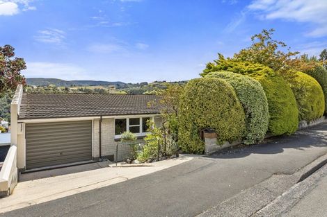 Photo of property in 47 Signal Hill Road, Opoho, Dunedin, 9010