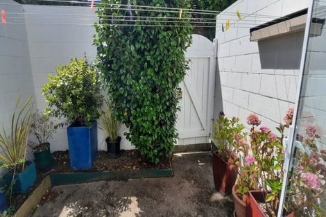 Photo of property in Paddington Apartments, 5/15 Mckinley Crescent, Brooklyn, Wellington, 6021