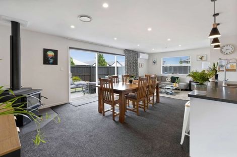 Photo of property in 45 Mcgrath Drive, Lincoln, 7608