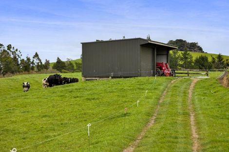 Photo of property in 19 Roddy Road, Everett Park, New Plymouth, 4373