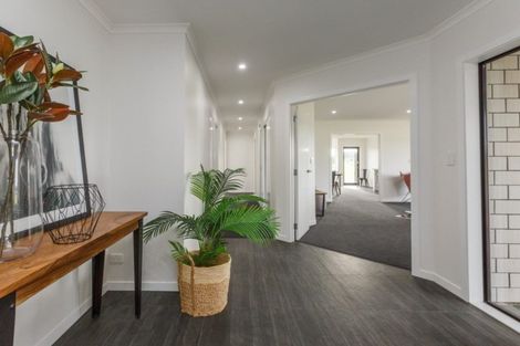 Photo of property in 175 Spur Road West, Colyton, Feilding, 4775