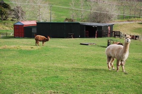 Photo of property in 278 Mountain Road, Maungaturoto, 0587