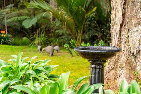 Photo of property in 48b Wilson Road, Warkworth, 0981