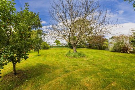 Photo of property in 34 Mcgreevy Street, Waipawa, 4210