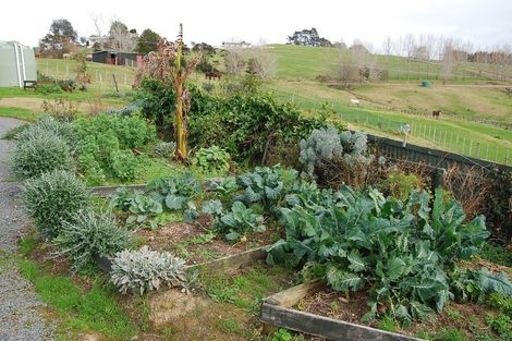 Photo of property in 278 Mountain Road, Maungaturoto, 0587