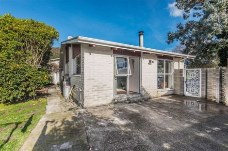 Photo of property in 38a Rossiter Avenue, Waterloo, Lower Hutt, 5011
