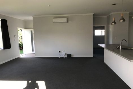 Photo of property in 137 Winchester Street, Levin, 5510