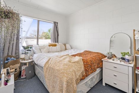 Photo of property in 45 York Street, Hamilton East, Hamilton, 3216