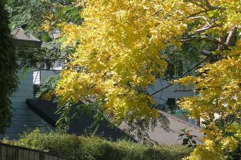 Photo of property in 4/4 Council Terrace, Northcote Point, Auckland, 0627