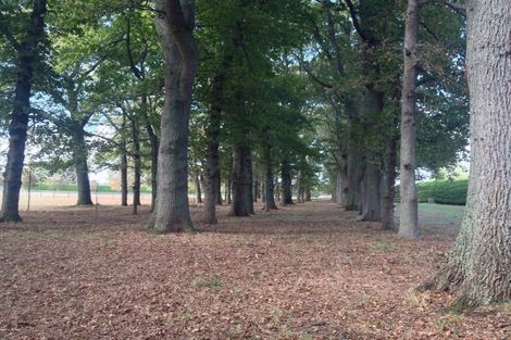 Photo of property in 3 Royal Oaks Lane, Newstead, Hamilton, 3286