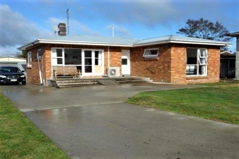 Photo of property in 100 Arapuni Street, Putaruru, 3411