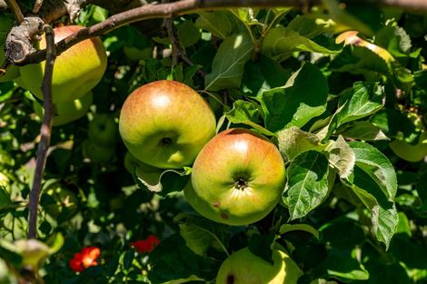 Photo of property in 32 Kingsford Drive, Stoke, Nelson, 7011