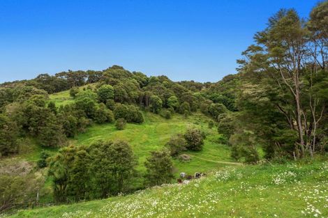 Photo of property in 132 Foster Road, Taneatua, Whakatane, 3191