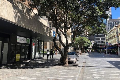 Photo of property in 11 Fort Street, Cambridge, 3434