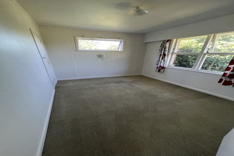 Photo of property in 163 River Road, Hamilton East, Hamilton, 3216