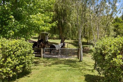 Photo of property in 306 Oneriri Road, Kaiwaka, 0573