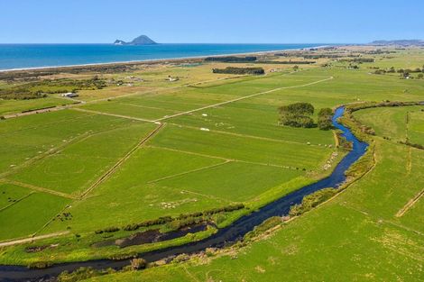 Photo of property in 1207a Thornton Road, Matata, Whakatane, 3194