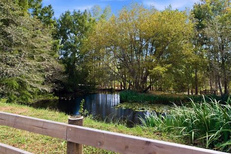 Photo of property in 39 Robinson Road, Whitianga, 3510