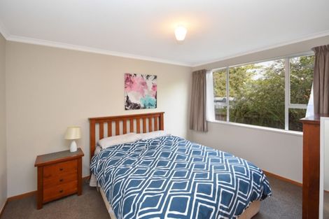 Photo of property in 45e Bush Road, Mosgiel, 9024