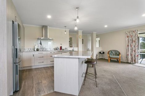 Photo of property in 95 Taihoa Road South, Matamata, 3473