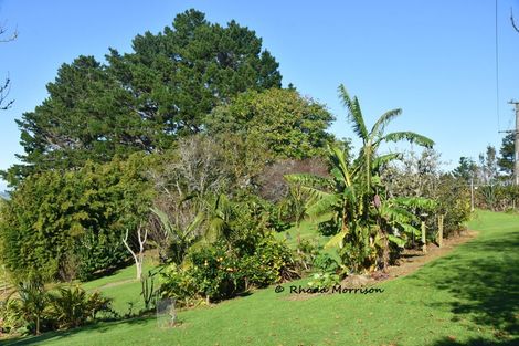 Photo of property in 330 Franklin Road, Paparoa, 0571