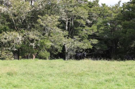 Photo of property in 16 Matai Drive, Maungaturoto, 0520