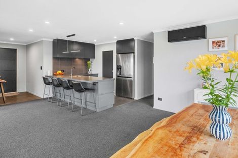 Photo of property in 9 Stoneleigh Drive, Solway, Masterton, 5810