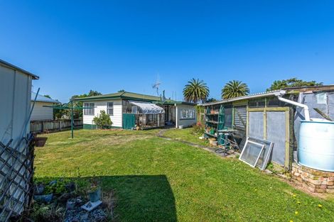 Photo of property in 40 Tararua Street, Pahiatua, 4910
