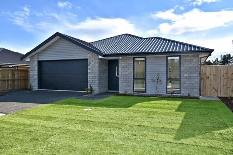 Photo of property in 100 Chinnerys Road, Woodend, 7610