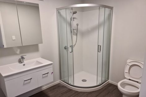 Photo of property in 4/17 Vialou Street, Hamilton Central, Hamilton, 3204