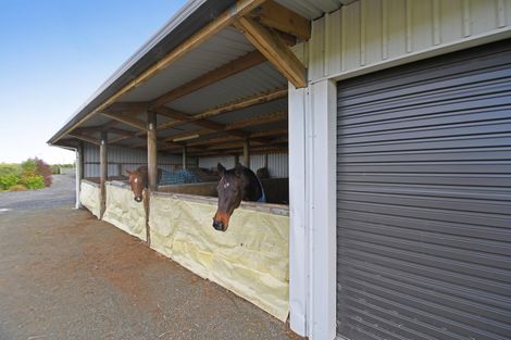 Photo of property in 64 Brown Road, Hakaru, Kaiwaka, 0573