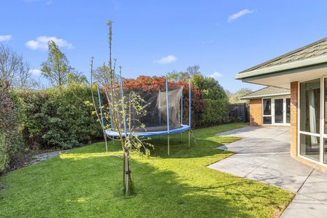 Photo of property in 36 Merrin Street, Avonhead, Christchurch, 8042