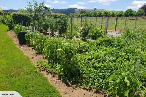 Photo of property in 8 Judge Road, Rotoorangi, Te Awamutu, 3879