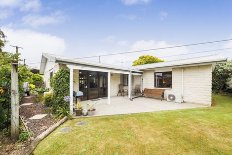 Photo of property in 103 Salisbury Street, Ashhurst, 4810