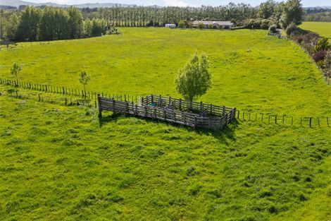 Photo of property in 438 Matahiwi Road, Matahiwi, Masterton, 5888