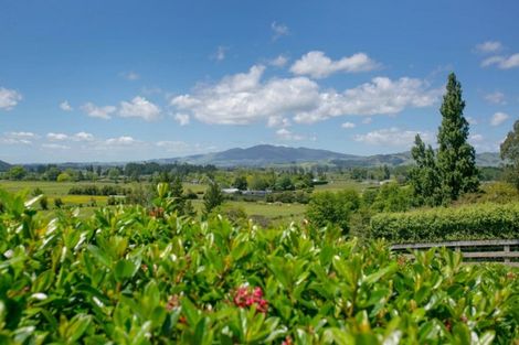 Photo of property in 4/88 Maungakawa Road, Cambridge, 3496