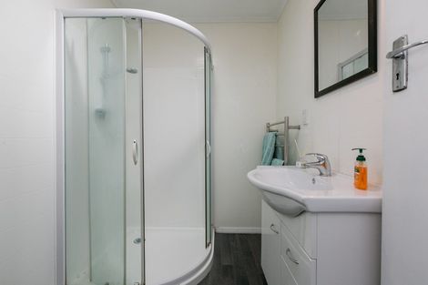 Photo of property in 411 Hastings Street South, Akina, Hastings, 4122