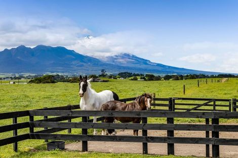 Photo of property in 253 Lwr Pitone Road, Pitone, New Plymouth, 4374