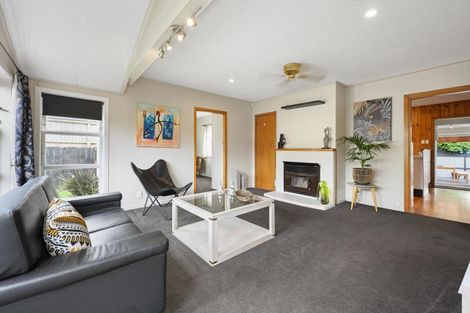 Photo of property in 158 Rimu Street, Maeroa, Hamilton, 3200