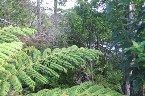 Photo of property in 359 Titirangi Road, Titirangi, Auckland, 0604