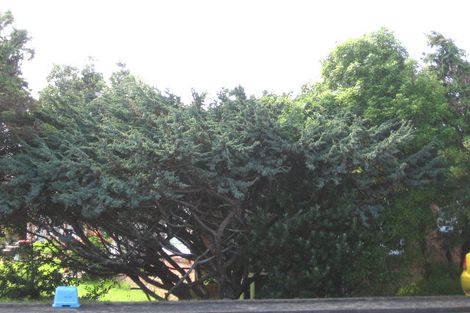 Photo of property in 3/196 Rockfield Road, Penrose, Auckland, 1061